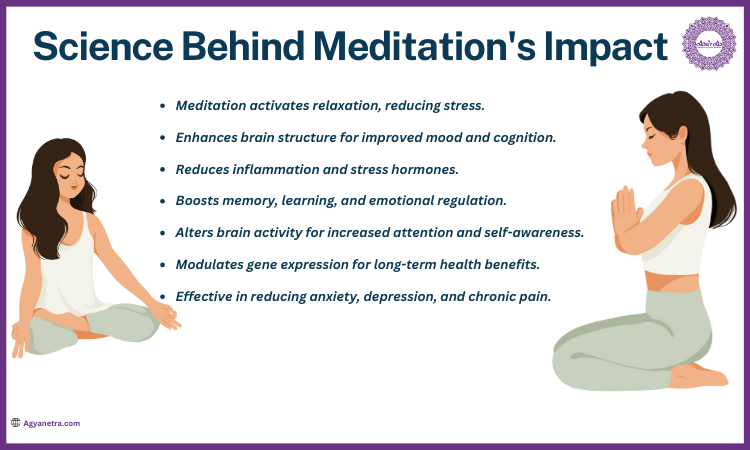 Science Behind Meditation's Impact