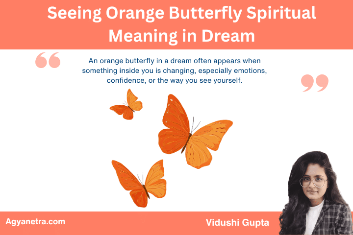 Seeing Orange Butterfly Spiritual Meaning in Dream from a Spiritual and Emotional Perspective