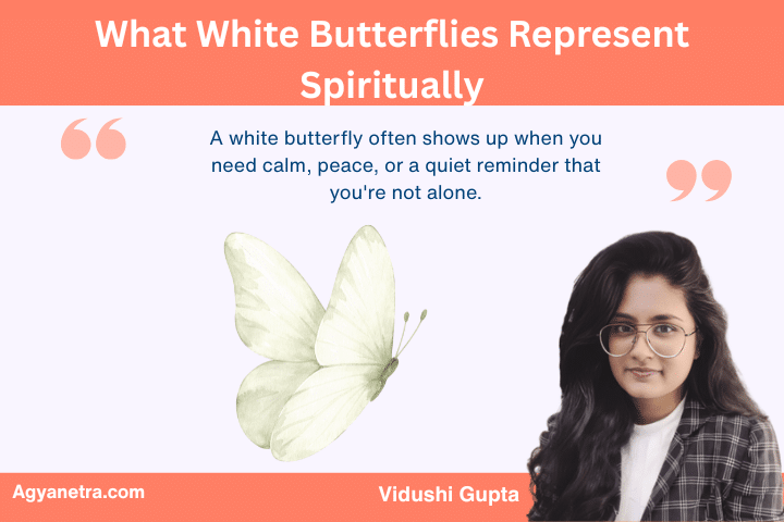 What White Butterflies Represent Spiritually
