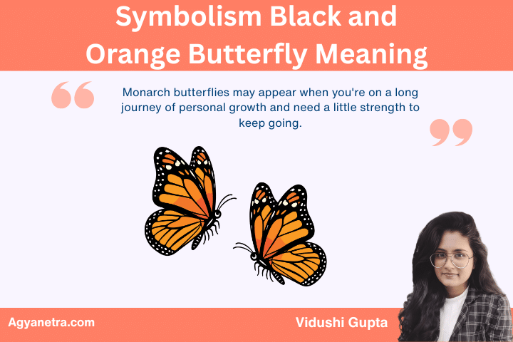 Symbolism Black and Orange Butterfly Meaning