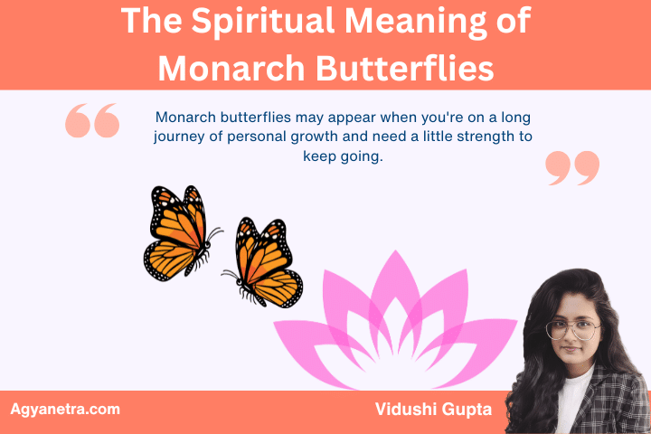 The Spiritual Meaning of Monarch Butterflies