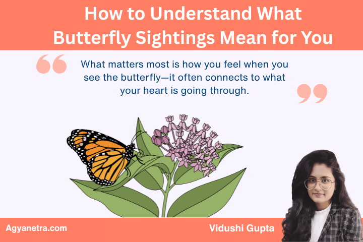 How to Understand What Butterfly Sightings Mean for You