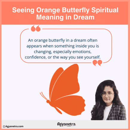 Seeing Orange Butterfly Spiritual Meaning in Dream
