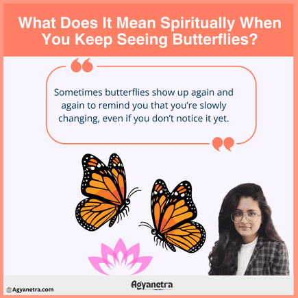 What Does It Mean Spiritually When You Keep Seeing Butterflies?