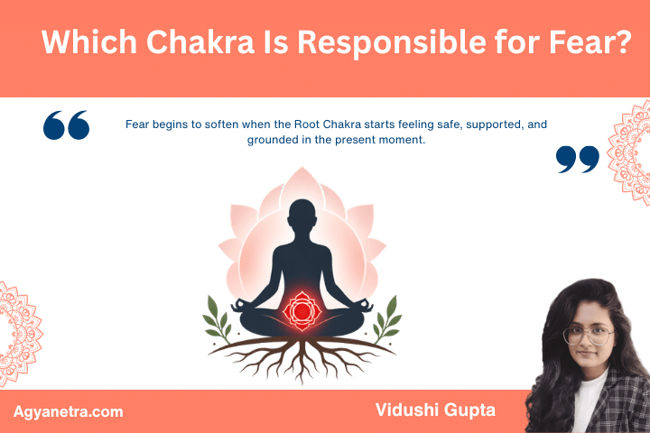 Which Chakra Is Responsible for Fear? Know Main Chakra Responsible for Fear