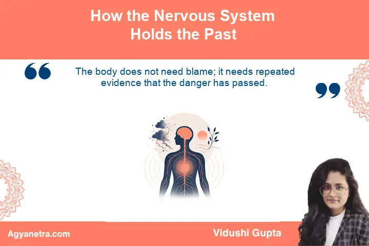 How the Nervous System Holds the Past Calm visual representing nervous system safety and release from past trauma
